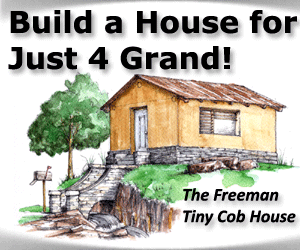 Build a House for Just $4,000! The Freeman - Tiny Cob House