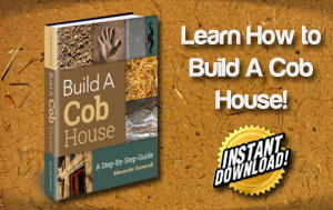 Build a Cob House: A Step-By-Step Guide
